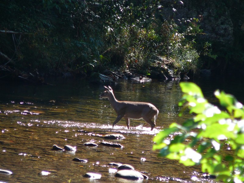 image04
